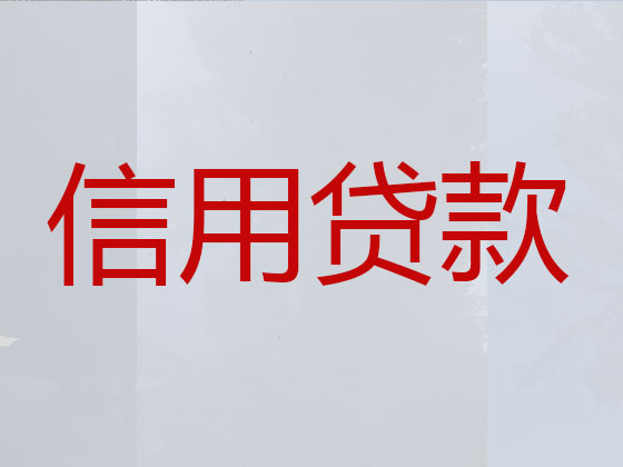 叶县本地贷款中介公司